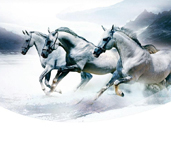 省内排行前十，设计、施工实力排前