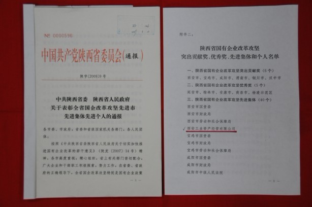 2009年2月，被陕西省委、省敌灾授予陕西省国有企业鼎新攻坚先进集体